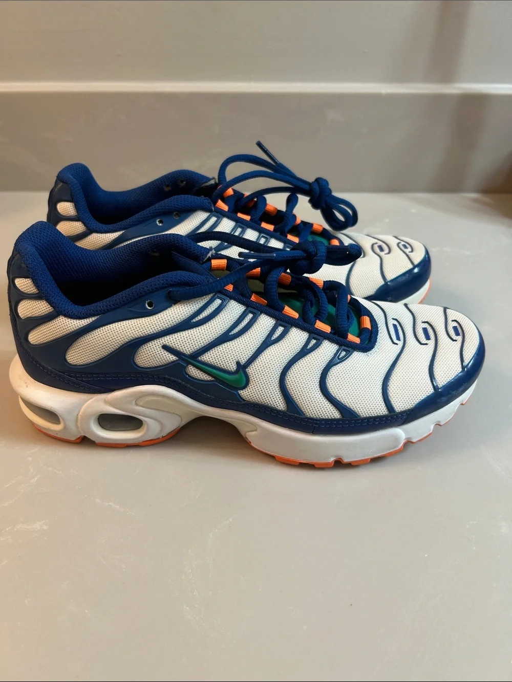 Nike Air Max Plus Neptune Green, White, Blue